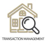 T Management