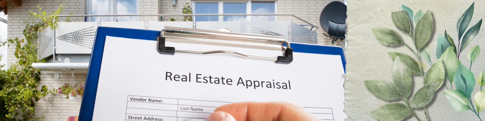 The appraisal
